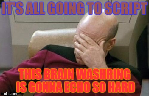 Captain Picard Facepalm Meme | IT'S ALL GOING TO SCRIPT THIS BRAIN WASHRING IS GONNA ECHO SO HARD | image tagged in memes,captain picard facepalm | made w/ Imgflip meme maker