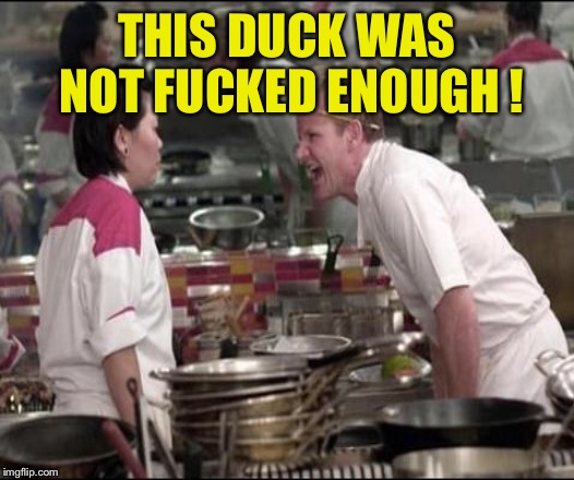 THIS DUCK WAS NOT F**KED ENOUGH ! | made w/ Imgflip meme maker