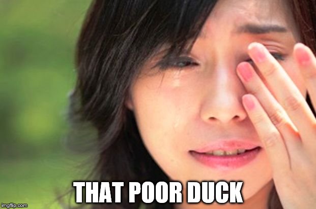 Crying Asian Girl | THAT POOR DUCK | image tagged in crying asian girl | made w/ Imgflip meme maker
