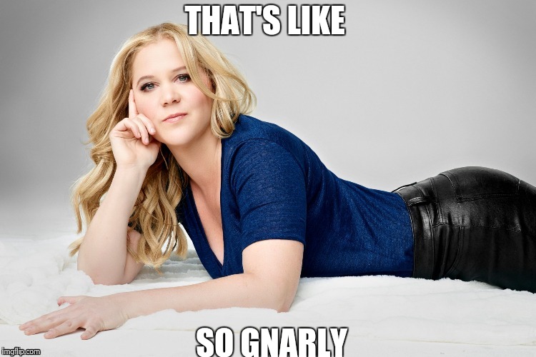 Amy Schumer | THAT'S LIKE SO GNARLY | image tagged in amy schumer | made w/ Imgflip meme maker