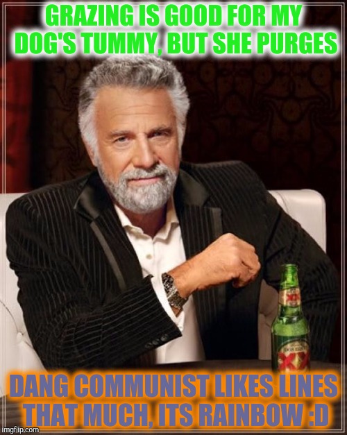 The Most Interesting Man In The World Meme | GRAZING IS GOOD FOR MY DOG'S TUMMY, BUT SHE PURGES DANG COMMUNIST LIKES LINES THAT MUCH, ITS RAINBOW :D | image tagged in memes,the most interesting man in the world | made w/ Imgflip meme maker
