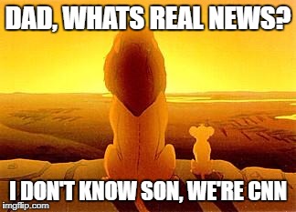 simba and dad | DAD, WHATS REAL NEWS? I DON'T KNOW SON, WE'RE CNN | image tagged in simba and dad | made w/ Imgflip meme maker