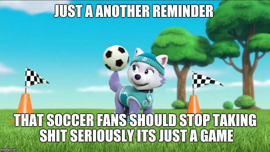 Everest Spinning A Soccer Ball On Her Tail PAW Patrol | JUST A ANOTHER REMINDER; THAT SOCCER FANS SHOULD STOP TAKING SHIT SERIOUSLY ITS JUST A GAME | image tagged in everest spinning a soccer ball on her tail paw patrol | made w/ Imgflip meme maker