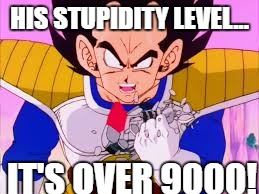 IT'S OVER 9000! | HIS STUPIDITY LEVEL... IT'S OVER 9000! | image tagged in it's over 9000 | made w/ Imgflip meme maker