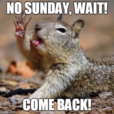 Squirrel Dab | NO SUNDAY, WAIT! COME BACK! | image tagged in squirrel dab | made w/ Imgflip meme maker