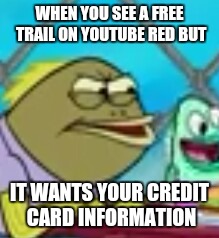 Triggered  | WHEN YOU SEE A FREE TRAIL ON YOUTUBE RED BUT; IT WANTS YOUR CREDIT CARD INFORMATION | image tagged in you what | made w/ Imgflip meme maker