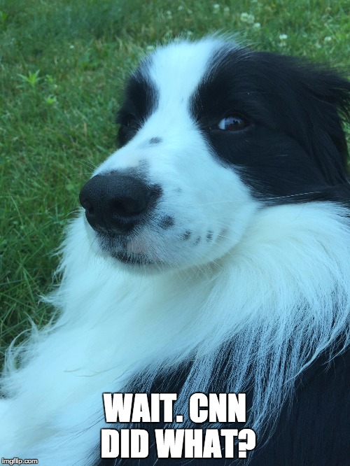 WAIT. CNN DID WHAT? | image tagged in butler side-eye | made w/ Imgflip meme maker