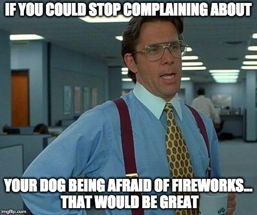 Sucks for the dog but seriously.... get over it. | IF YOU COULD STOP COMPLAINING ABOUT; YOUR DOG BEING AFRAID OF FIREWORKS... THAT WOULD BE GREAT | image tagged in memes,that would be great,fireworks,dog | made w/ Imgflip meme maker