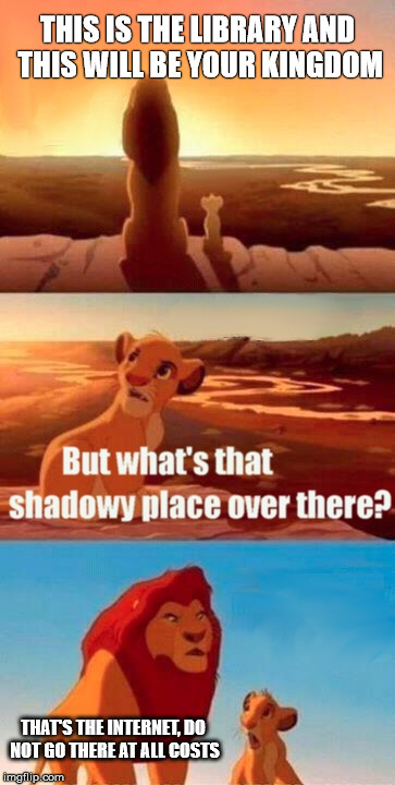 Simba Shadowy Place | THIS IS THE LIBRARY AND THIS WILL BE YOUR KINGDOM; THAT'S THE INTERNET, DO NOT GO THERE AT ALL COSTS | image tagged in memes,simba shadowy place | made w/ Imgflip meme maker