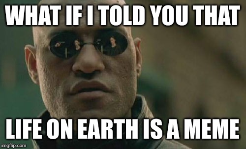 Matrix Morpheus Meme | WHAT IF I TOLD YOU THAT; LIFE ON EARTH IS A MEME | image tagged in memes,matrix morpheus | made w/ Imgflip meme maker