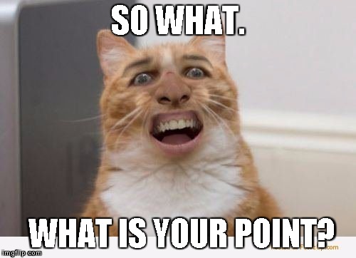 So what cat | SO WHAT. WHAT IS YOUR POINT? | image tagged in so what cat | made w/ Imgflip meme maker