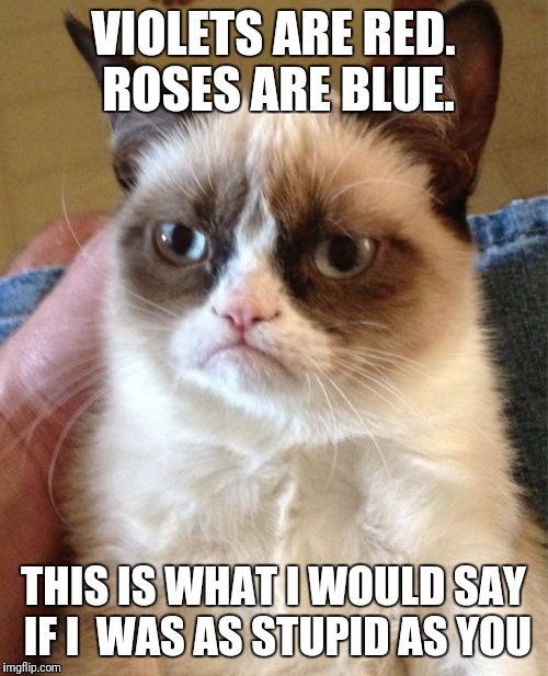Grumpy Cat Meme | VIOLETS ARE RED. ROSES ARE BLUE. THIS IS WHAT I WOULD SAY IF I 
WAS AS STUPID AS YOU | image tagged in memes,grumpy cat | made w/ Imgflip meme maker
