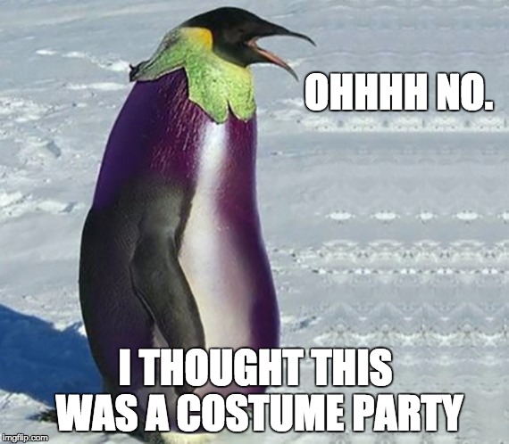 OHHHH NO. I THOUGHT THIS WAS A COSTUME PARTY | image tagged in eggplant penguin | made w/ Imgflip meme maker