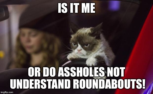 Grumpy Cat Driving | IS IT ME; OR DO ASSHOLES NOT UNDERSTAND ROUNDABOUTS! | image tagged in grumpy cat driving | made w/ Imgflip meme maker