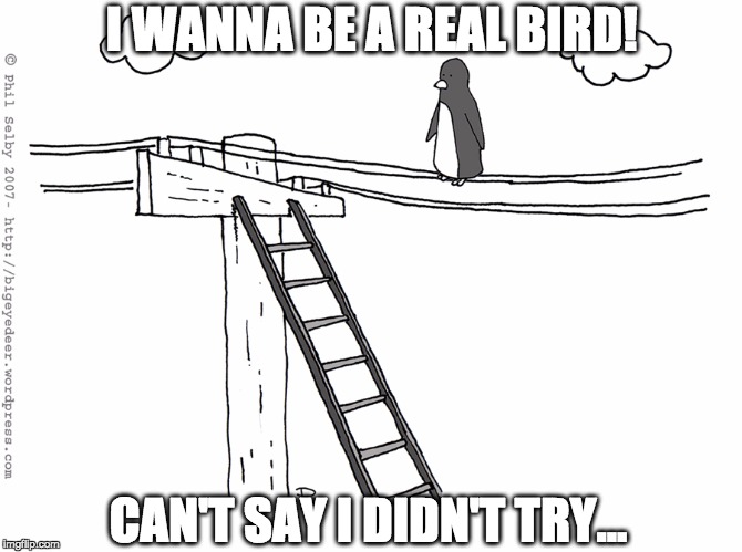 Depressed Penguin | I WANNA BE A REAL BIRD! CAN'T SAY I DIDN'T TRY... | image tagged in socially awesome awkward penguin,bird,funny,funny memes,funny meme,cartoon | made w/ Imgflip meme maker