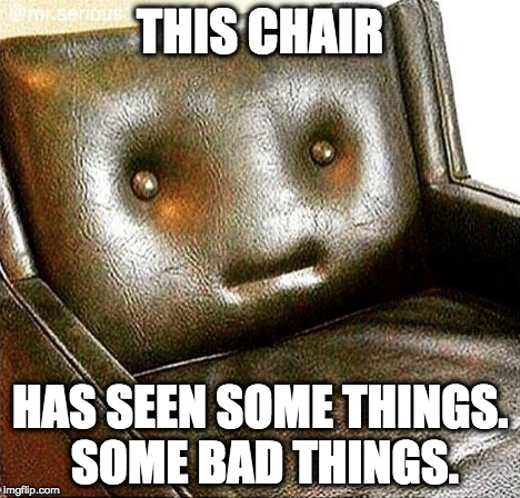 Looks like a seal, huh? | THIS CHAIR; HAS SEEN SOME THINGS. SOME BAD THINGS. | image tagged in awkward moment sealion,iwanttobebacon,iwanttobebaconcom,bad things,seen | made w/ Imgflip meme maker