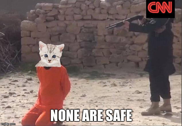 NONE ARE SAFE | image tagged in cnn,cnn blackmail,kitten | made w/ Imgflip meme maker