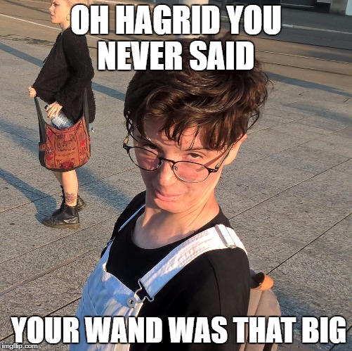 Oh Hagrid | OH HAGRID YOU NEVER SAID; YOUR WAND WAS THAT BIG | image tagged in budget potter girl,harry potter | made w/ Imgflip meme maker