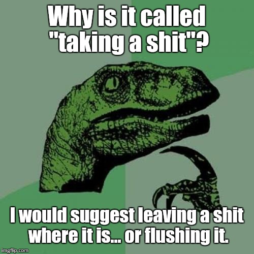 Seriously? Who came up with these? | Why is it called "taking a shit"? I would suggest leaving a shit where it is... or flushing it. | image tagged in memes,philosoraptor | made w/ Imgflip meme maker