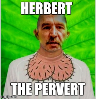 Hard up Herb | HERBERT; THE PERVERT | image tagged in hard up herb | made w/ Imgflip meme maker