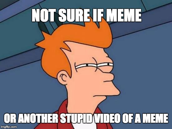 Not sure if meme, or another stupid video of a meme | NOT SURE IF MEME; OR ANOTHER STUPID VIDEO OF A MEME | image tagged in memes,futurama fry,videomeme,videoofmeme | made w/ Imgflip meme maker