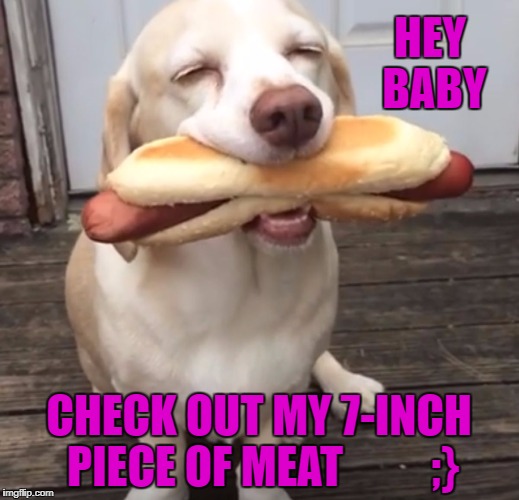Hot dog | HEY BABY; CHECK OUT MY 7-INCH PIECE OF MEAT          ;} | image tagged in hot dog | made w/ Imgflip meme maker