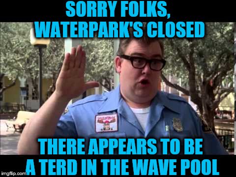 Wally World | SORRY FOLKS, WATERPARK'S CLOSED; THERE APPEARS TO BE A TERD IN THE WAVE POOL | image tagged in wally world | made w/ Imgflip meme maker