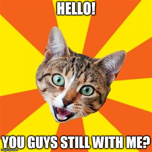 Bad Advice Cat Meme | HELLO! YOU GUYS STILL WITH ME? | image tagged in memes,cat | made w/ Imgflip meme maker