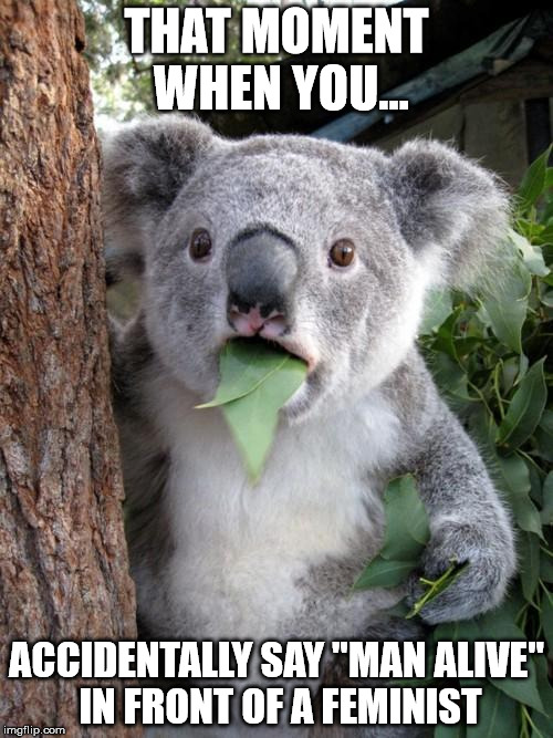 Surprised Koala | THAT MOMENT WHEN YOU... ACCIDENTALLY SAY "MAN ALIVE" IN FRONT OF A FEMINIST | image tagged in memes,surprised koala | made w/ Imgflip meme maker