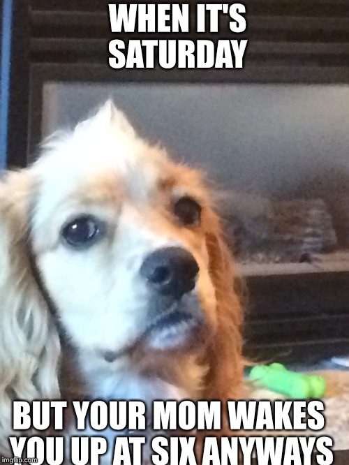 WHEN IT'S SATURDAY; BUT YOUR MOM WAKES YOU UP AT SIX ANYWAYS | made w/ Imgflip meme maker