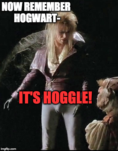 SERIOUSLY! IT'S HOGGLE! |  NOW REMEMBER HOGWART-; IT'S HOGGLE! | image tagged in david bowie labyrinth | made w/ Imgflip meme maker