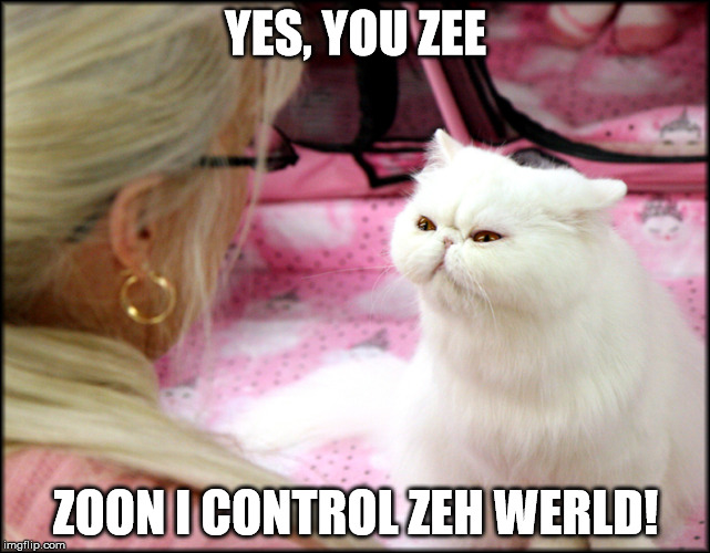 YES, YOU ZEE; ZOON I CONTROL ZEH WERLD! | image tagged in evil kitty | made w/ Imgflip meme maker