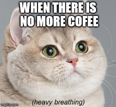Heavy Breathing Cat Meme | WHEN THERE IS NO MORE COFEE | image tagged in memes,heavy breathing cat | made w/ Imgflip meme maker