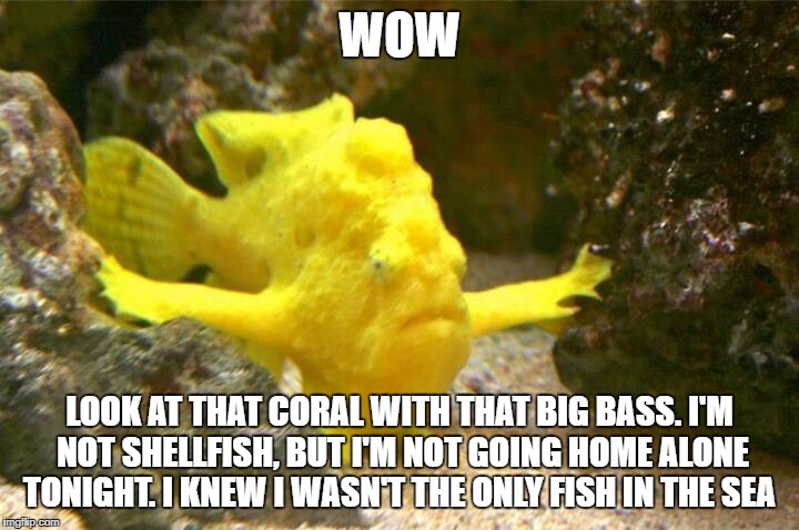 Word Play: Look At That Coral! - Imgflip