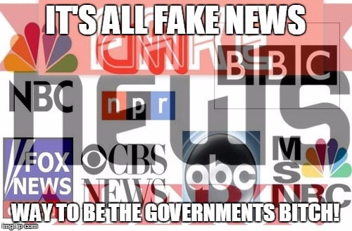 IT'S ALL FAKE NEWS WAY TO BE THE GOVERNMENTS B**CH! | made w/ Imgflip meme maker