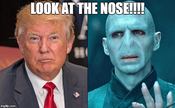 voldemort trump | LOOK AT THE NOSE!!!! | image tagged in voldemort and danold | made w/ Imgflip meme maker