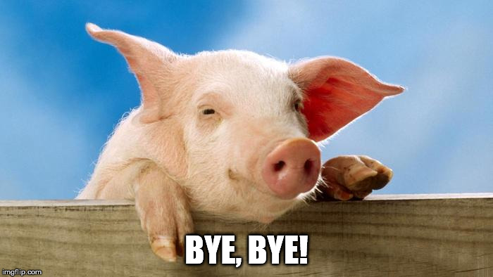 BYE, BYE! | image tagged in pig-bye,bye | made w/ Imgflip meme maker