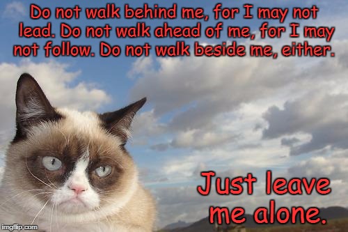 Grumpy Cat Sky | Do not walk behind me, for I may not lead. Do not walk ahead of me, for I may not follow. Do not walk beside me, either. Just leave me alone. | image tagged in memes,grumpy cat sky,grumpy cat | made w/ Imgflip meme maker