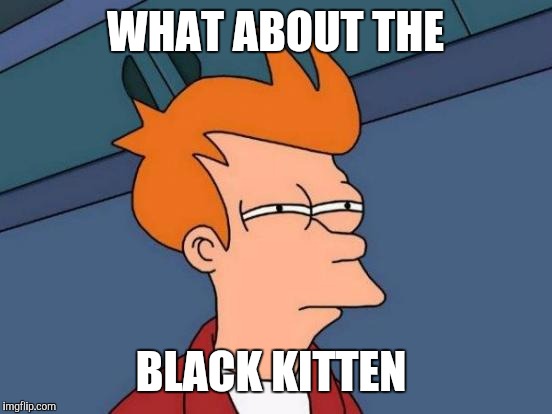 Futurama Fry Meme | WHAT ABOUT THE BLACK KITTEN | image tagged in memes,futurama fry | made w/ Imgflip meme maker