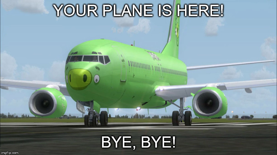 YOUR PLANE IS HERE! BYE, BYE! | image tagged in pig airplane-your plane is here  bye,bye | made w/ Imgflip meme maker