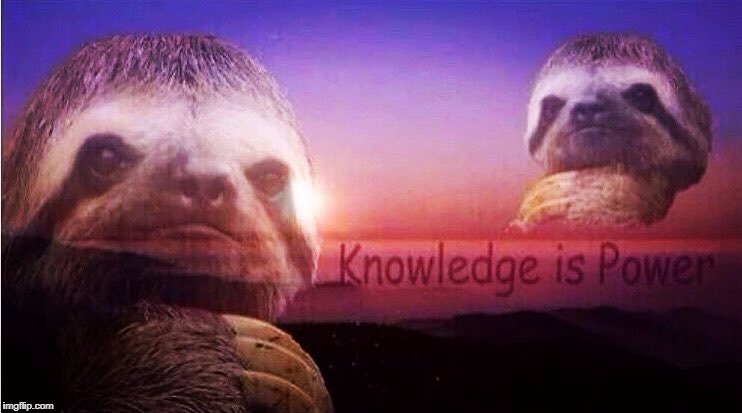 *when you scroll through the Facebook trending news every morning*  | image tagged in sloth knowledge is power,power,sloth,faceboo,wow,smart | made w/ Imgflip meme maker