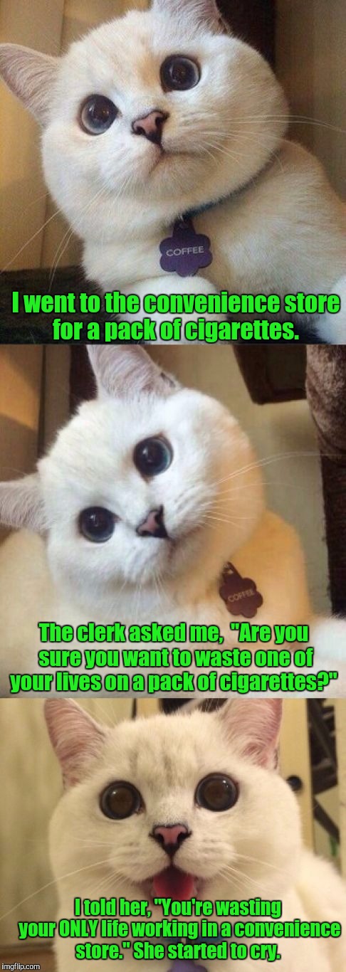 What're you,  a doctor?  | I went to the convenience store for a pack of cigarettes. The clerk asked me,  "Are you sure you want to waste one of your lives on a pack of cigarettes?"; I told her, "You're wasting your ONLY life working in a convenience store." She started to cry. | image tagged in funny cat,9 lives,cigarettes | made w/ Imgflip meme maker