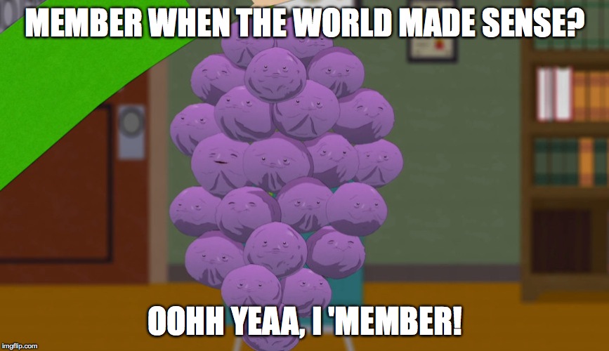 member berries | MEMBER WHEN THE WORLD MADE SENSE? OOHH YEAA, I 'MEMBER! | image tagged in member berries | made w/ Imgflip meme maker