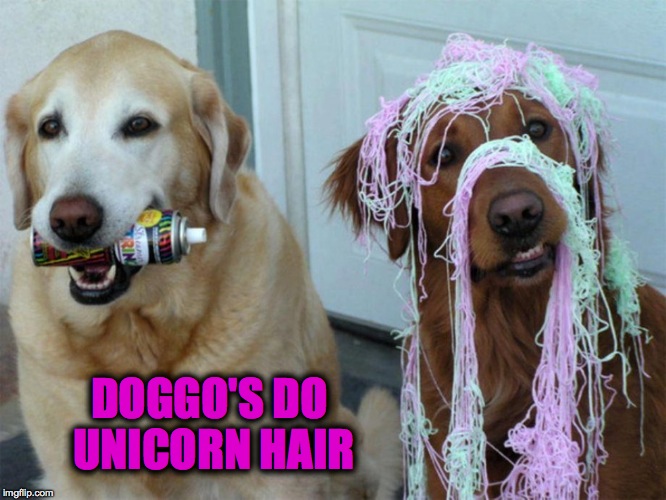 Doggo Do's | DOGGO'S DO UNICORN HAIR | image tagged in unicorn hair | made w/ Imgflip meme maker
