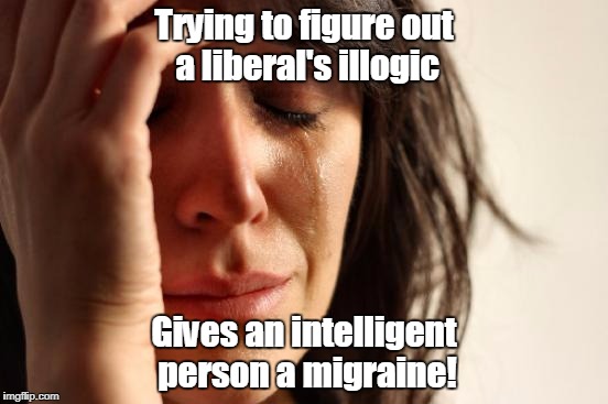 First World Problems Meme | Trying to figure out a liberal's illogic Gives an intelligent person a migraine! | image tagged in memes,first world problems | made w/ Imgflip meme maker