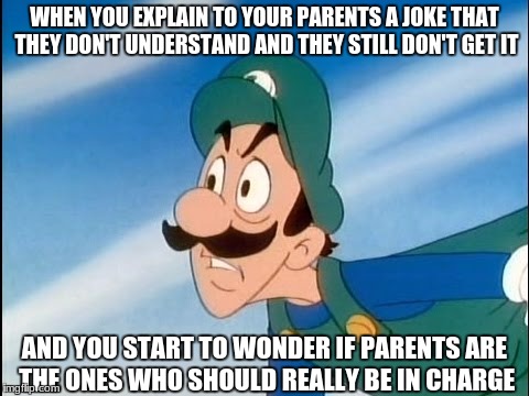 Dumb Parents | WHEN YOU EXPLAIN TO YOUR PARENTS A JOKE THAT THEY DON'T UNDERSTAND AND THEY STILL DON'T GET IT; AND YOU START TO WONDER IF PARENTS ARE THE ONES WHO SHOULD REALLY BE IN CHARGE | image tagged in mama luigi,jokes,dumb people | made w/ Imgflip meme maker