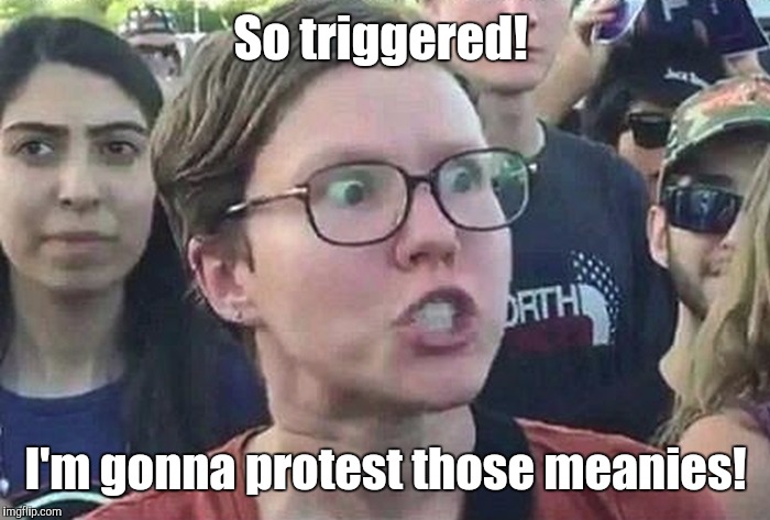 1b8nc8.jpg | So triggered! I'm gonna protest those meanies! | image tagged in 1b8nc8jpg | made w/ Imgflip meme maker
