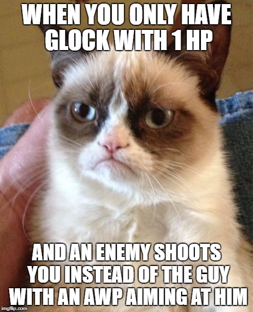 Grumpy Cat | WHEN YOU ONLY HAVE GLOCK WITH 1 HP; AND AN ENEMY SHOOTS YOU INSTEAD OF THE GUY WITH AN AWP AIMING AT HIM | image tagged in memes,grumpy cat | made w/ Imgflip meme maker