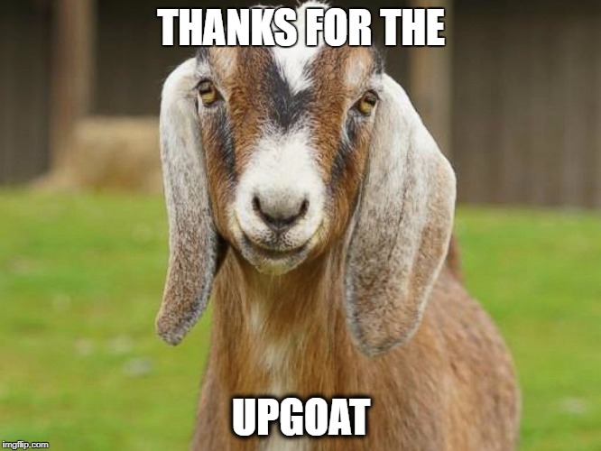 THANKS FOR THE; UPGOAT | made w/ Imgflip meme maker