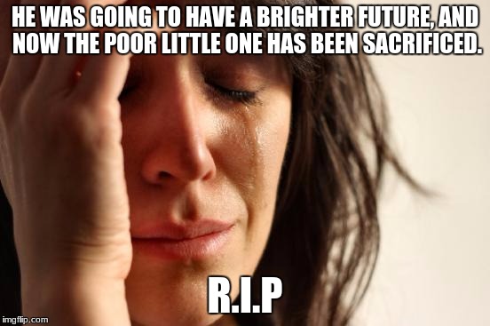 HE WAS GOING TO HAVE A BRIGHTER FUTURE, AND NOW THE POOR LITTLE ONE HAS BEEN SACRIFICED. R.I.P | image tagged in memes,first world problems | made w/ Imgflip meme maker